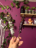 Hag Torch or Witches Torch